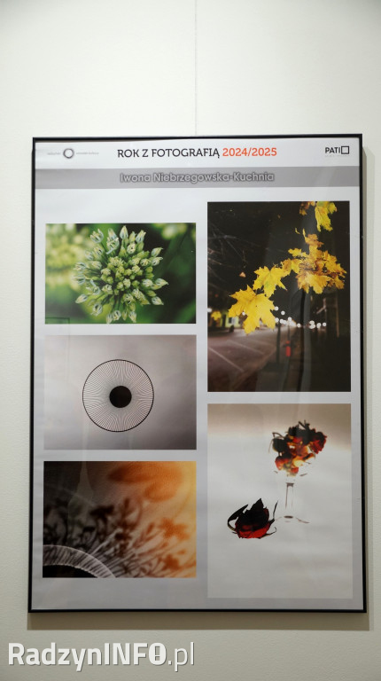 Wystawa zdjęć >>ROK z fotografią<<