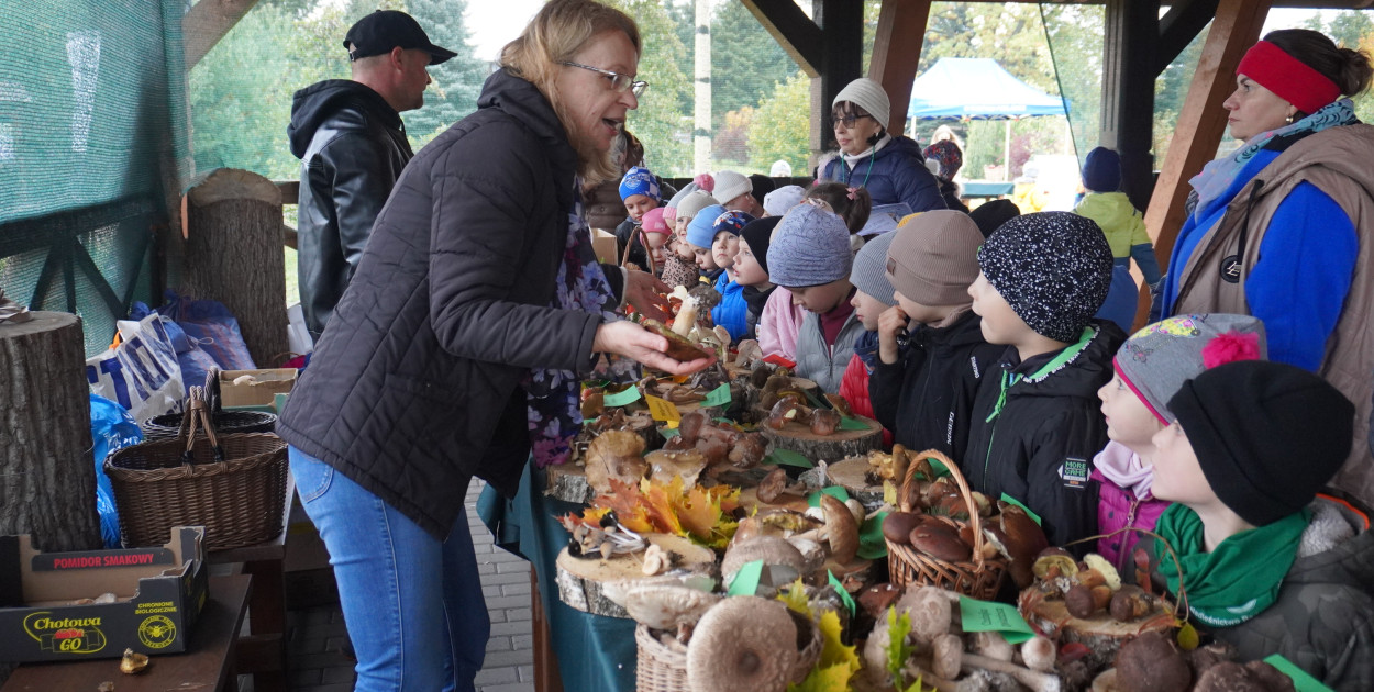 Wystawa grzybów w Nadleśnictwie