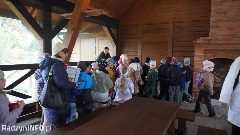 Wystawa grzybów w Nadleśnictwie