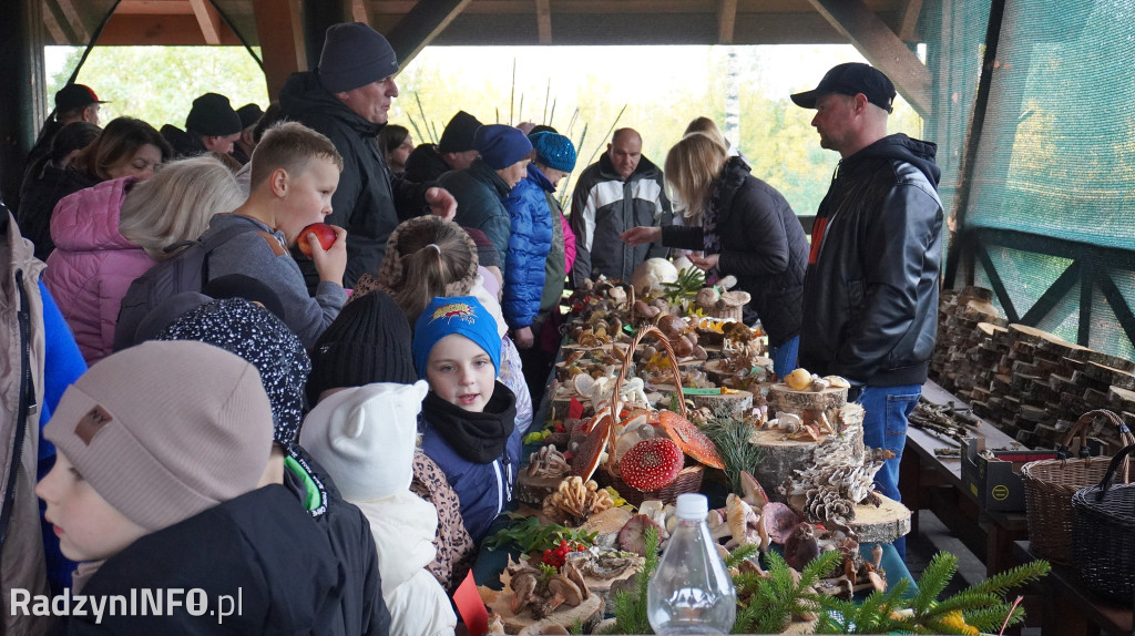 Wystawa grzybów w Nadleśnictwie