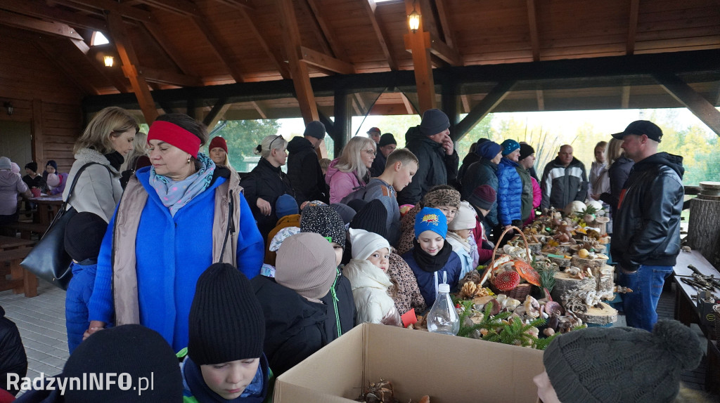 Wystawa grzybów w Nadleśnictwie