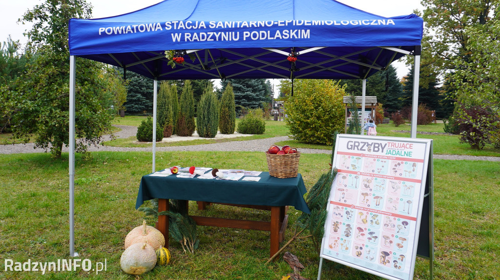 Wystawa grzybów w Nadleśnictwie