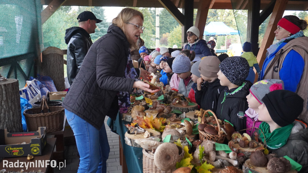 Wystawa grzybów w Nadleśnictwie