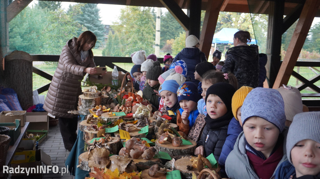 Wystawa grzybów w Nadleśnictwie