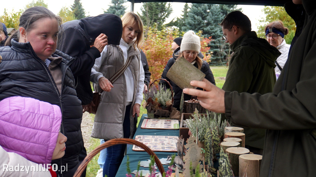 Wystawa grzybów w Nadleśnictwie
