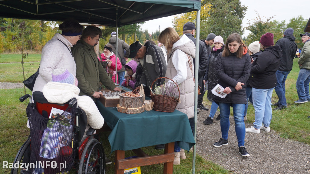 Wystawa grzybów w Nadleśnictwie