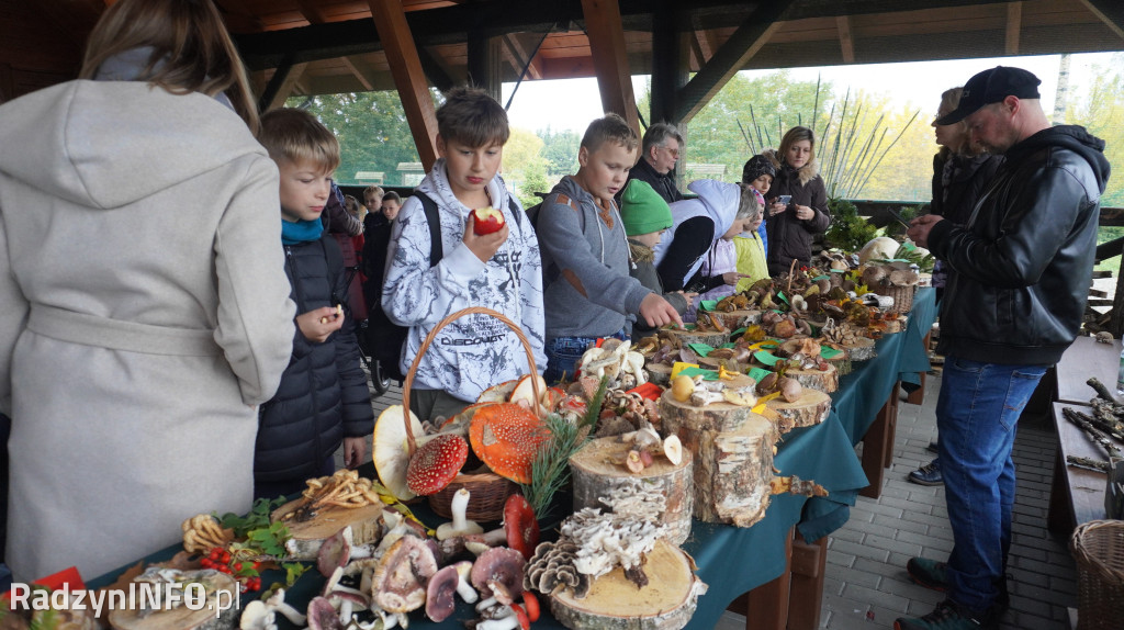 Wystawa grzybów w Nadleśnictwie
