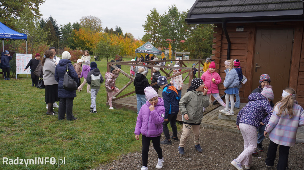 Wystawa grzybów w Nadleśnictwie