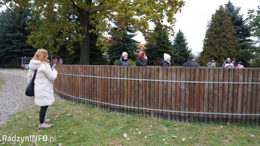 Wystawa grzybów w Nadleśnictwie