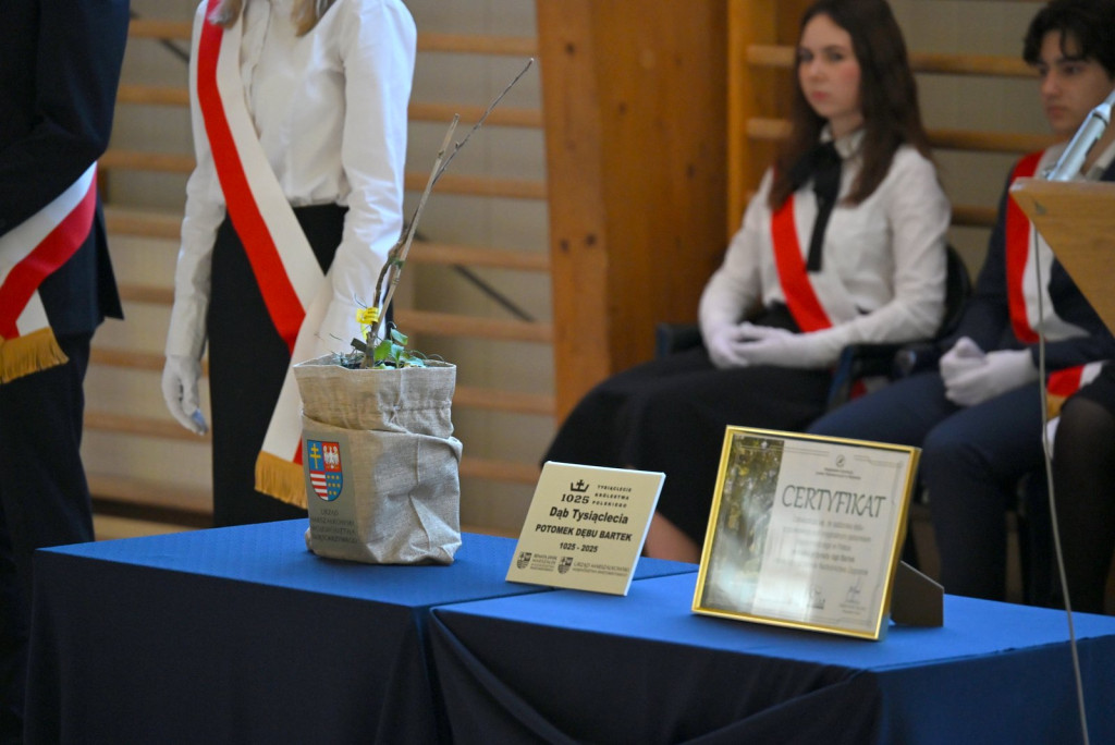 Zasadzenie dębu >Bartuś< na placu I LO w Radzyniu