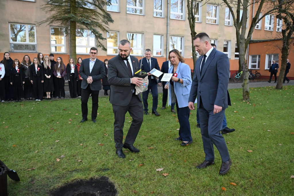 Zasadzenie dębu >Bartuś< na placu I LO w Radzyniu