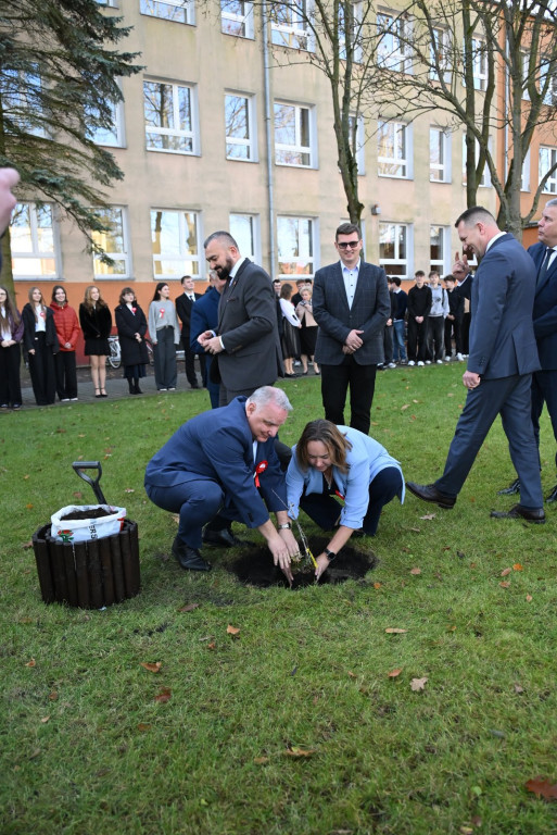 Zasadzenie dębu >Bartuś< na placu I LO w Radzyniu