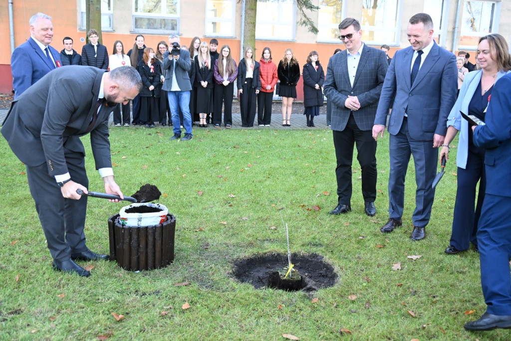 Zasadzenie dębu >Bartuś< na placu I LO w Radzyniu