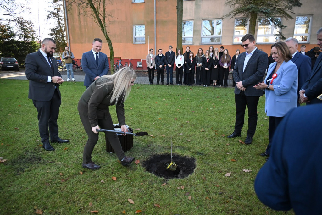 Zasadzenie dębu >Bartuś< na placu I LO w Radzyniu