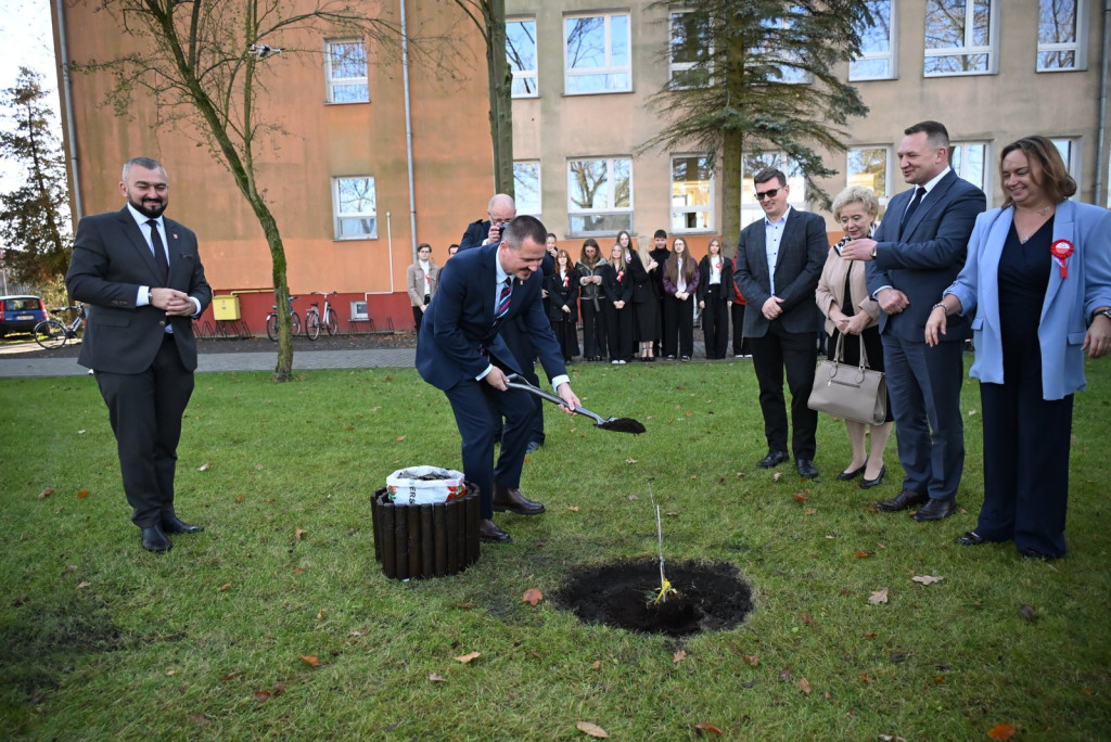 Zasadzenie dębu >Bartuś< na placu I LO w Radzyniu