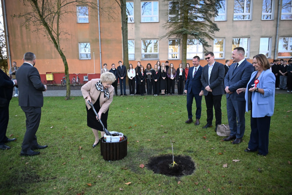 Zasadzenie dębu >Bartuś< na placu I LO w Radzyniu