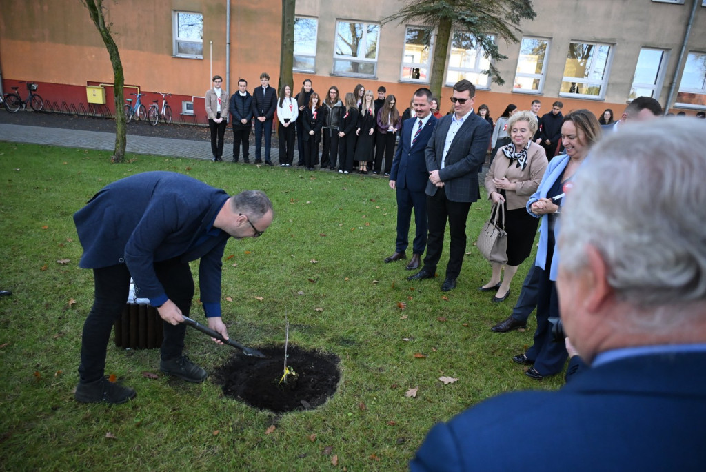 Zasadzenie dębu >Bartuś< na placu I LO w Radzyniu