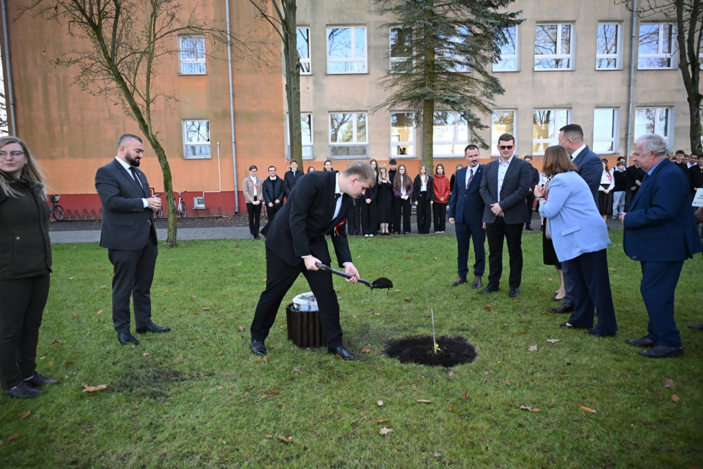 Zasadzenie dębu >Bartuś< na placu I LO w Radzyniu