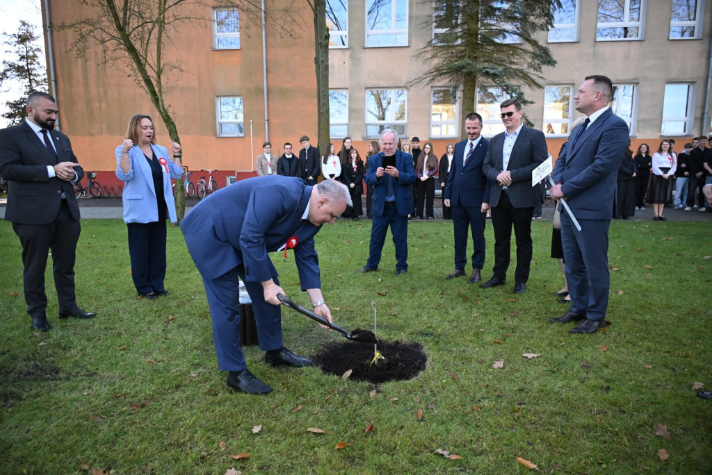 Zasadzenie dębu >Bartuś< na placu I LO w Radzyniu