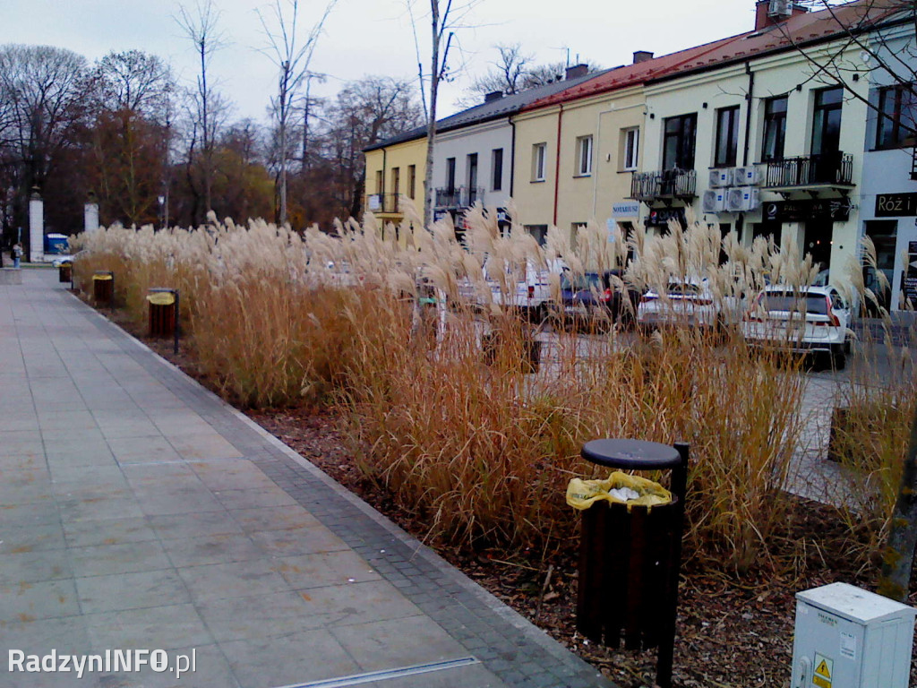 Zeschnięte trawy na Rynku