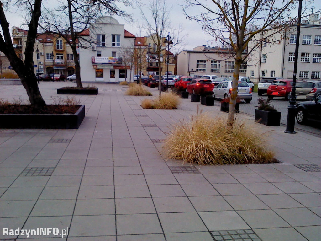 Zeschnięte trawy na Rynku