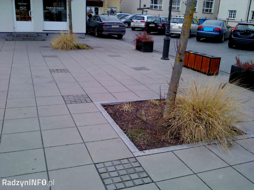 Zeschnięte trawy na Rynku