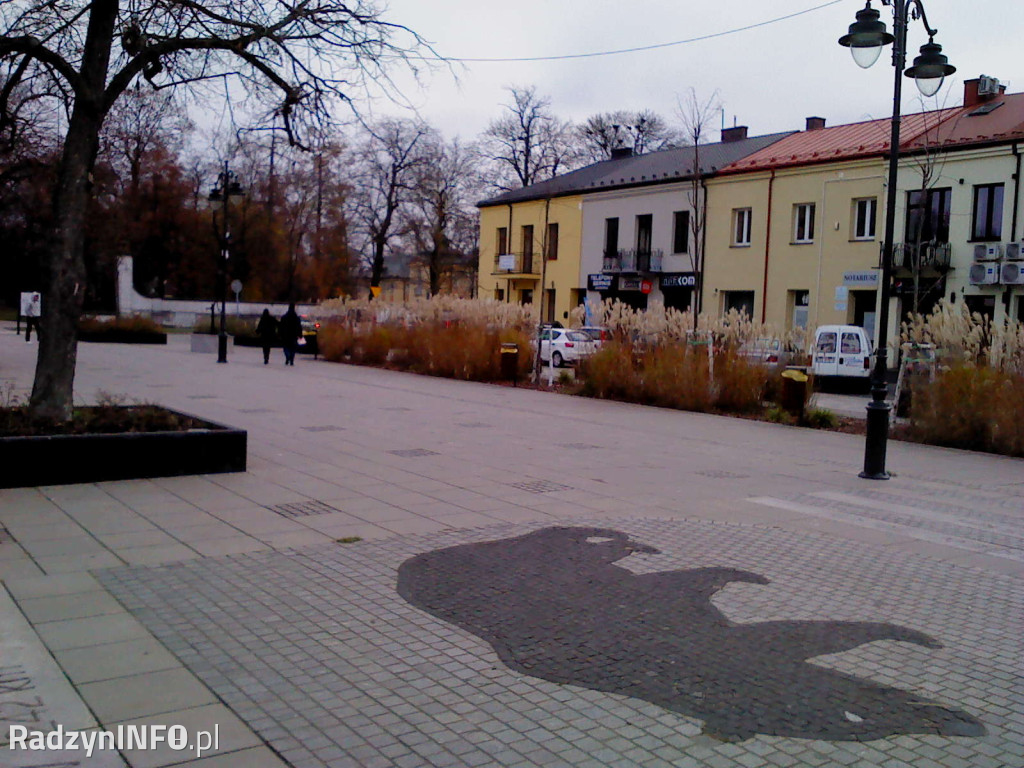 Zeschnięte trawy na Rynku