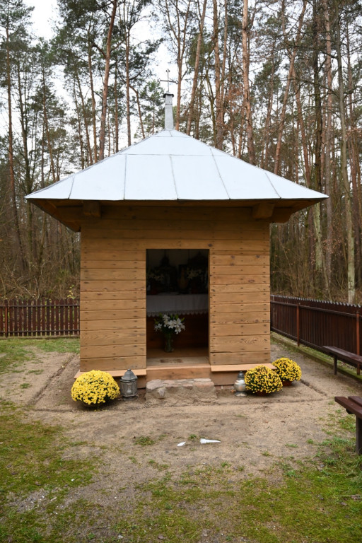 Obchody rocznicy wybuchu powstania listopadowego