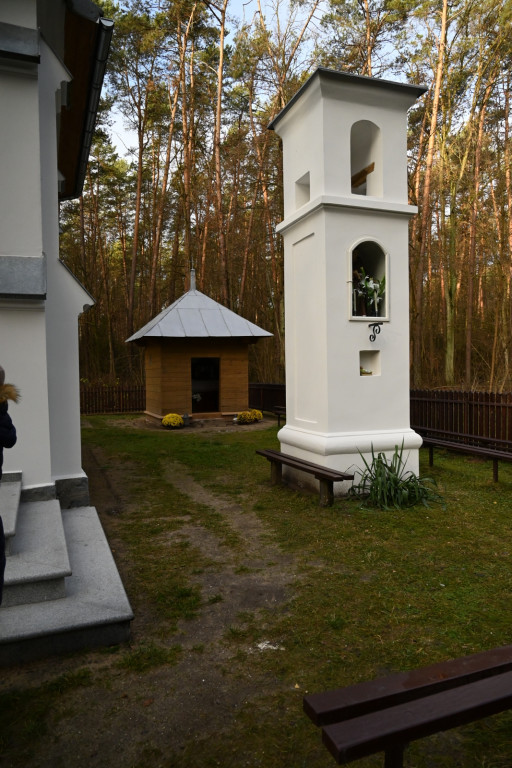 Obchody rocznicy wybuchu powstania listopadowego