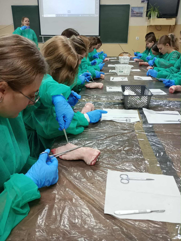 Warsztaty chirurgiczne dla uczniów I LO