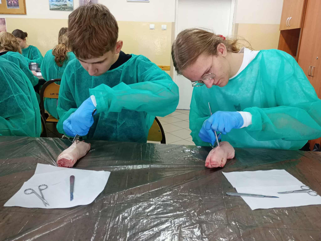 Warsztaty chirurgiczne dla uczniów I LO