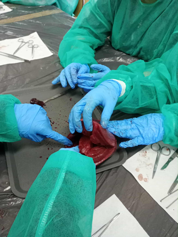 Warsztaty chirurgiczne dla uczniów I LO