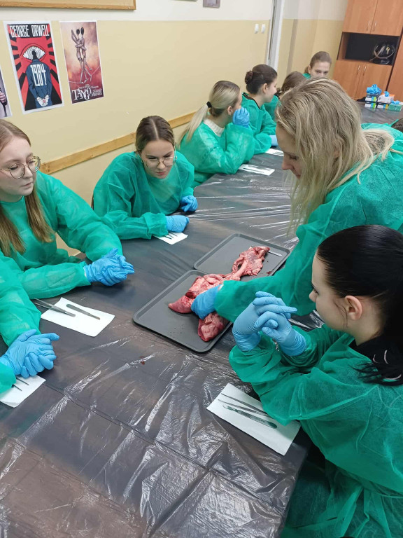 Warsztaty chirurgiczne dla uczniów I LO