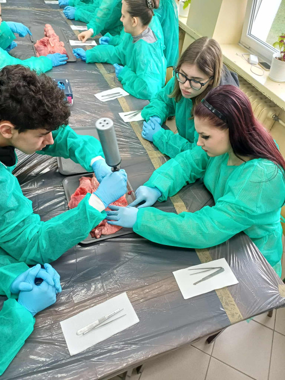 Warsztaty chirurgiczne dla uczniów I LO