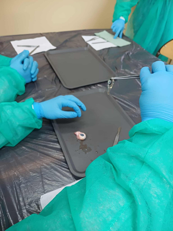 Warsztaty chirurgiczne dla uczniów I LO