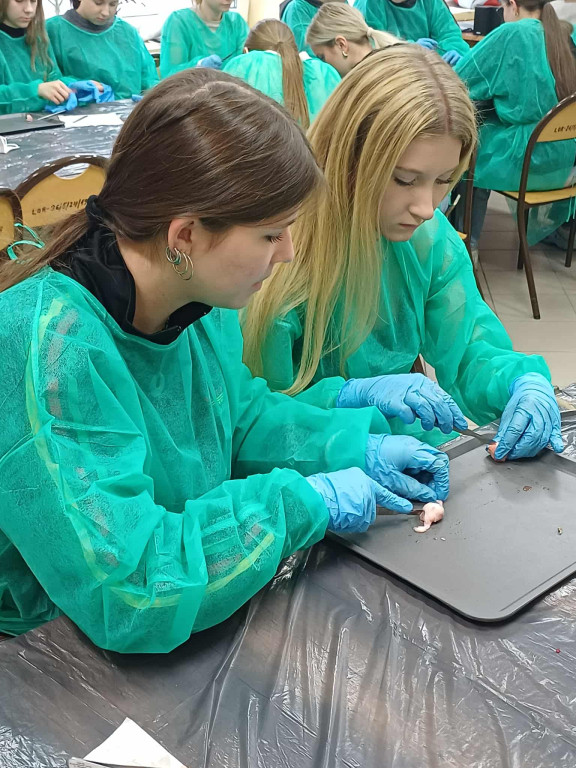 Warsztaty chirurgiczne dla uczniów I LO