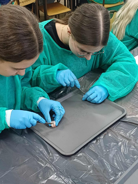 Warsztaty chirurgiczne dla uczniów I LO