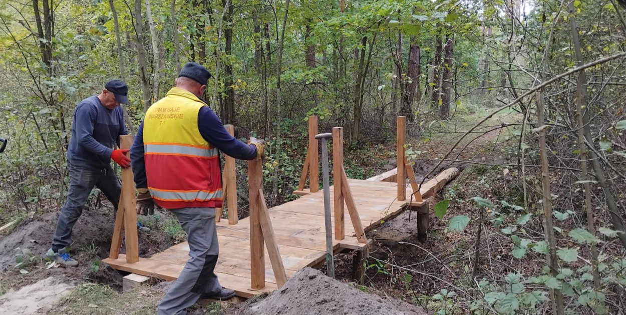 Wymiana kładki w lesie Sumierz