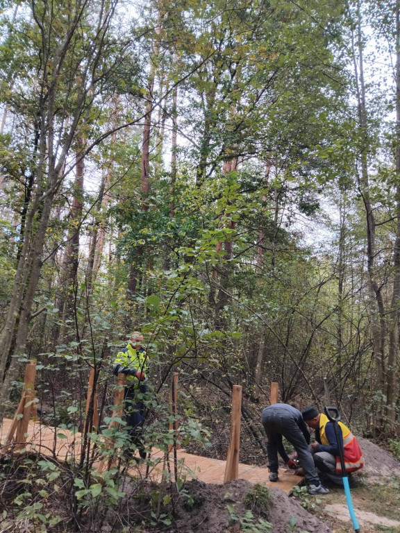 Wymiana kładki w lesie Sumierz