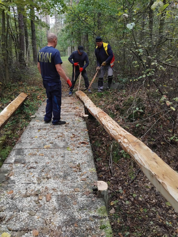 Wymiana kładki w lesie Sumierz