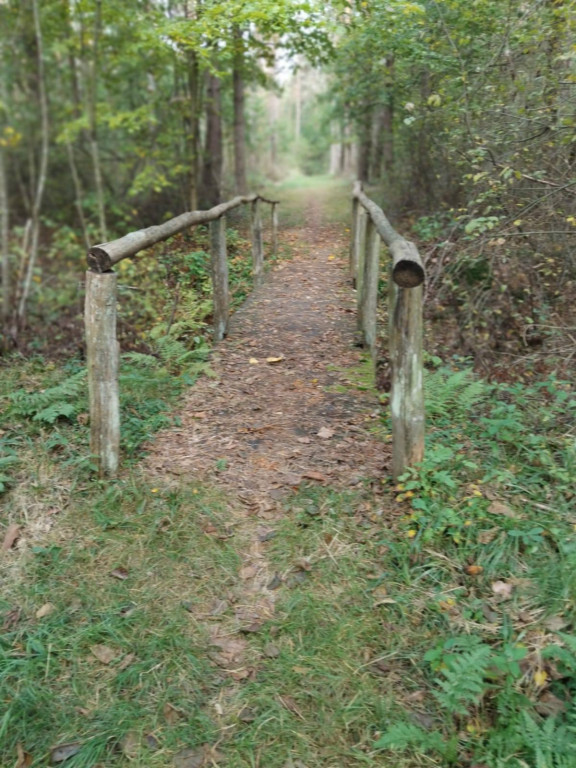 Wymiana kładki w lesie Sumierz