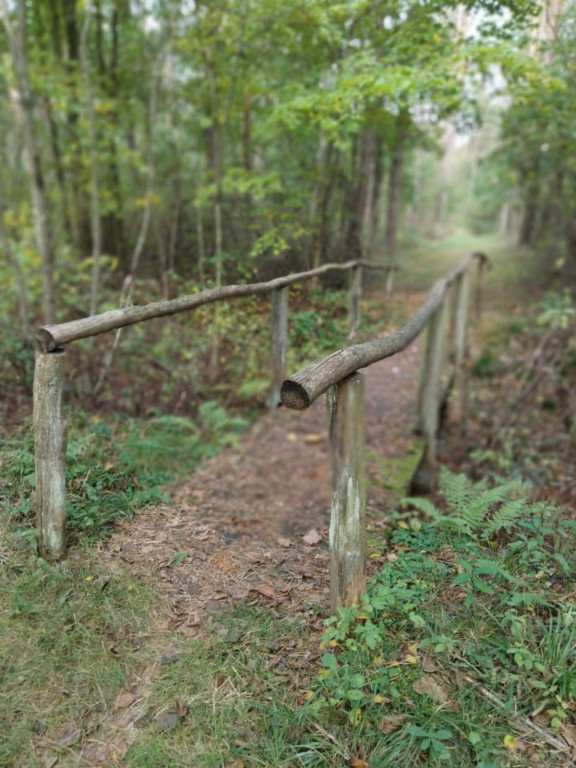 Wymiana kładki w lesie Sumierz