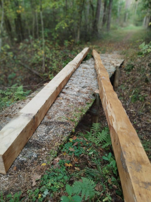 Wymiana kładki w lesie Sumierz