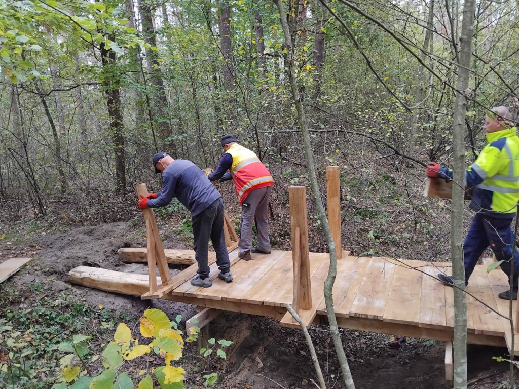 Wymiana kładki w lesie Sumierz