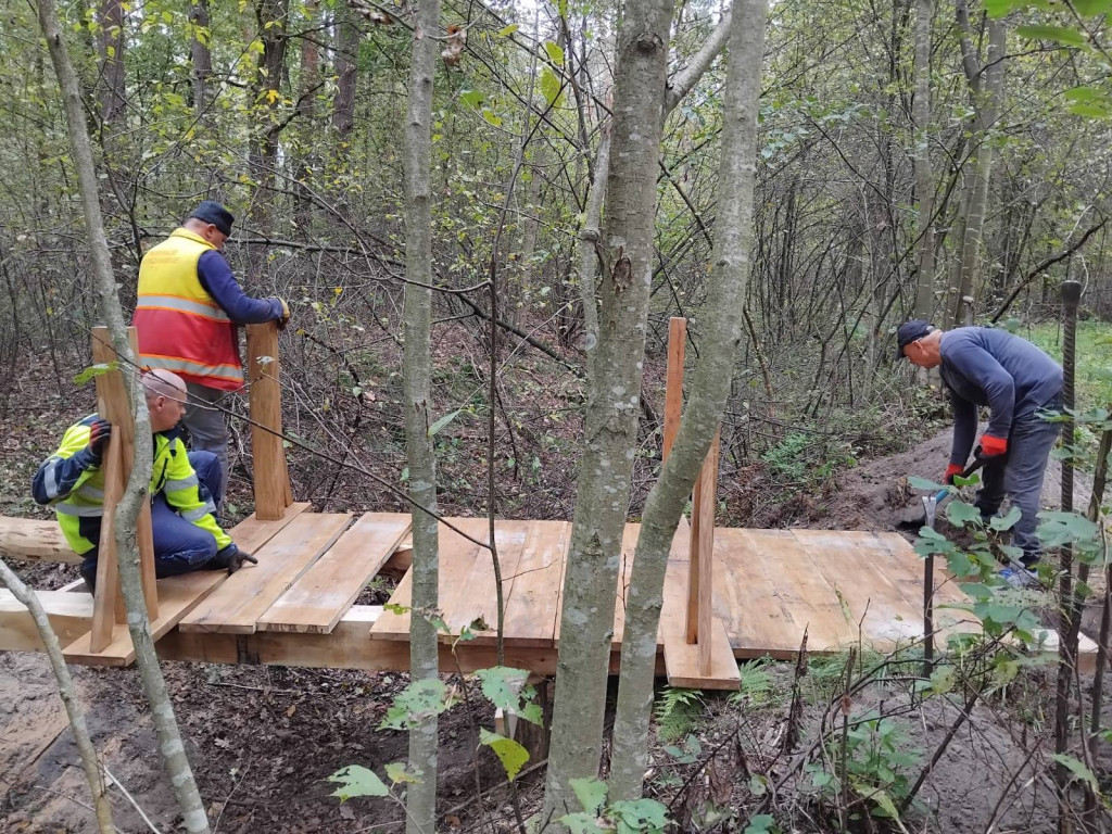 Wymiana kładki w lesie Sumierz