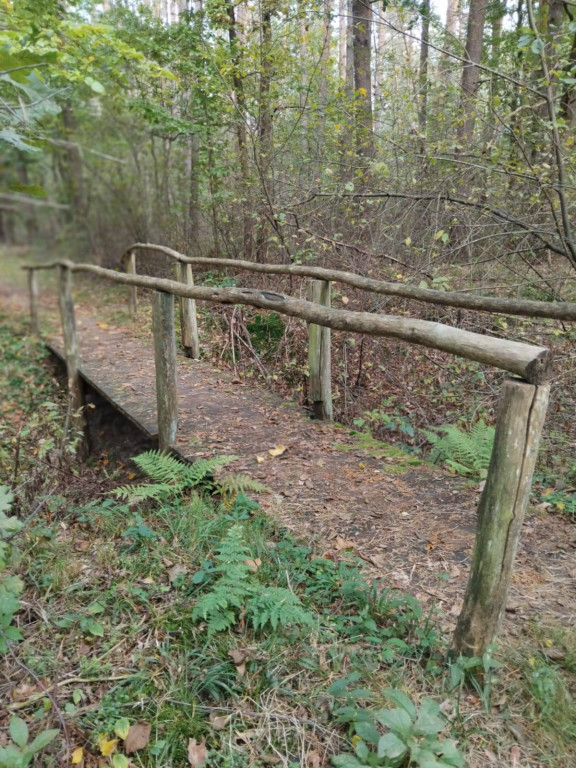 Wymiana kładki w lesie Sumierz