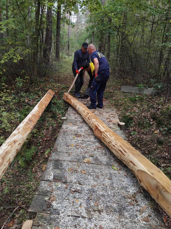 Wymiana kładki w lesie Sumierz