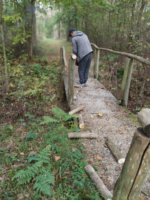 Wymiana kładki w lesie Sumierz