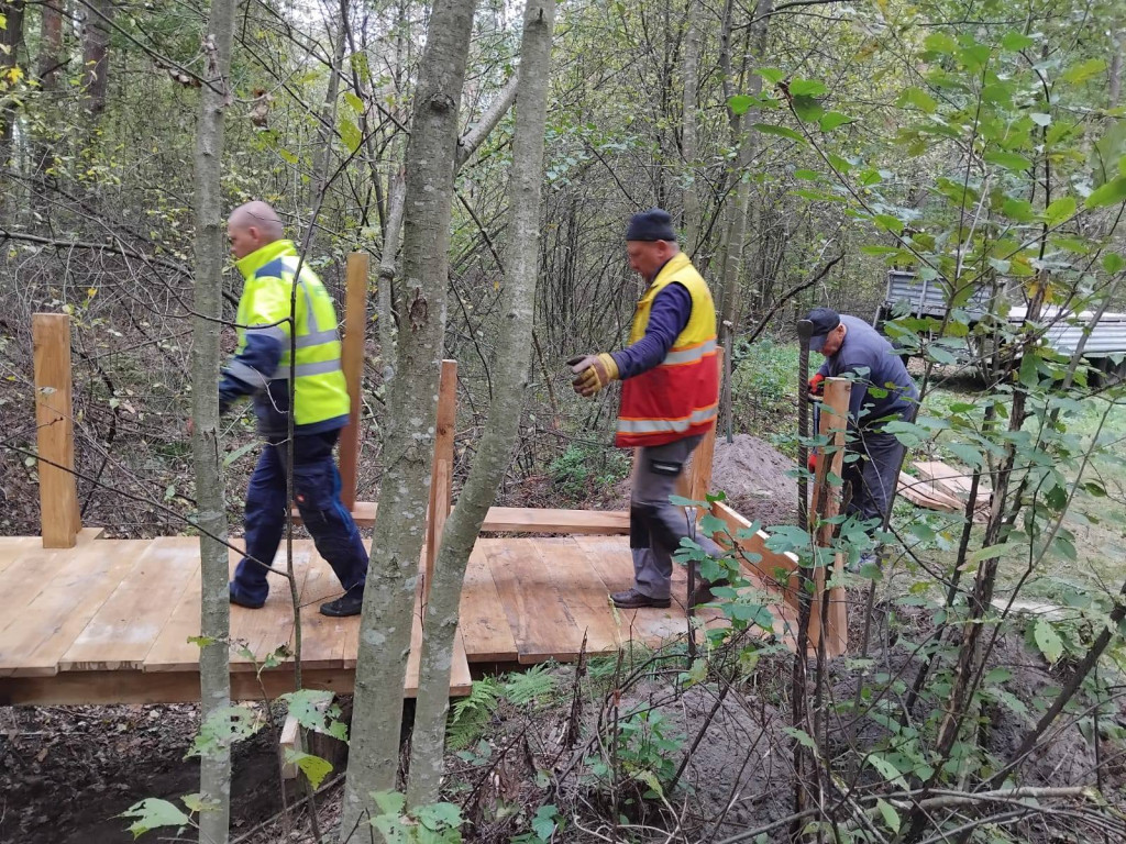 Wymiana kładki w lesie Sumierz