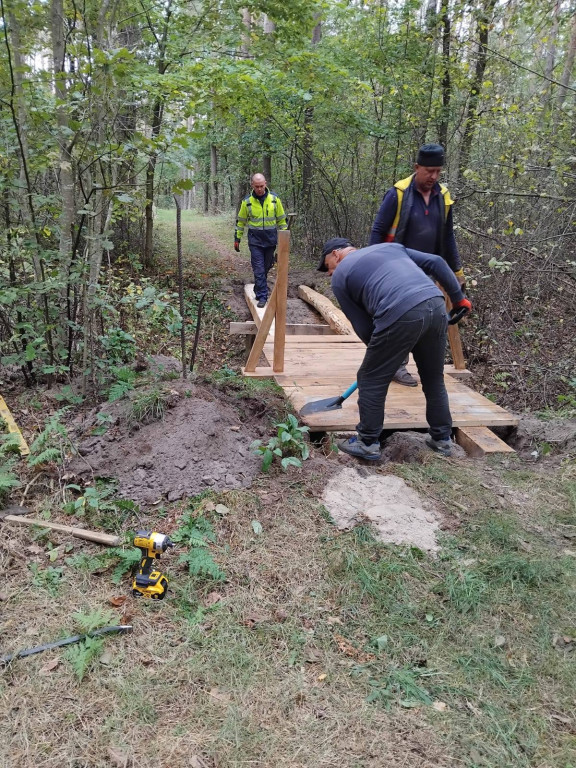 Wymiana kładki w lesie Sumierz